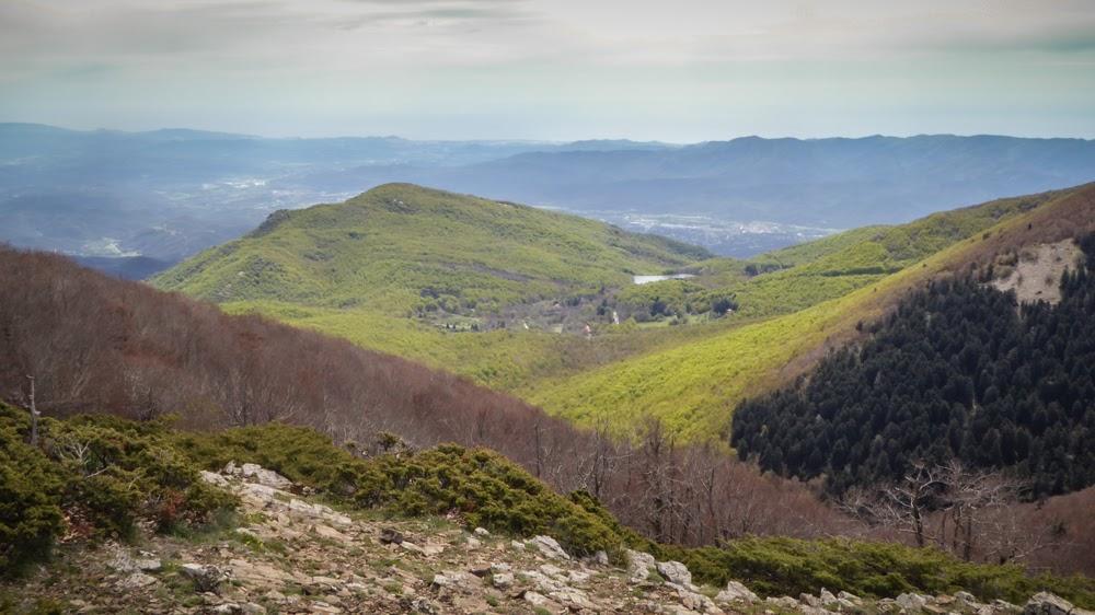 Hostal L'Avet Blau Hostel Santa Fe de Montseny Buitenkant foto